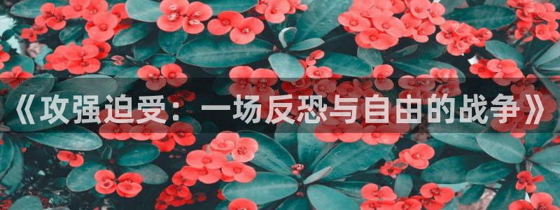 51漫画类的漫画软件：《攻强迫受：一场反恐与自由的战争》